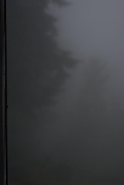 Fog